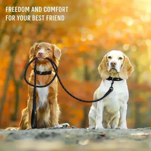 Heavy_Duty_Nylon_Dog_Leash_|_Anti_Slip_Padded_Handle_Long_Dog_Leash_|_Highly_Reflective_Leash_for_Dogs_|_Dog_Rope_for_Medium_&_Large_Dogs_|_Dog_Training_Leash_-_5_Feet