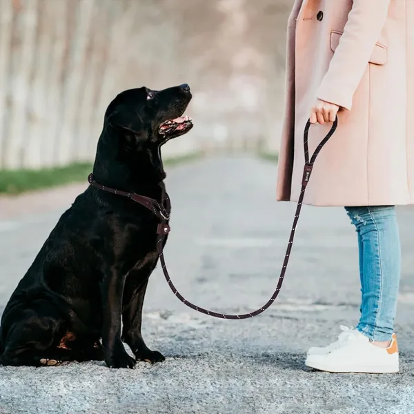 Reflective_Dog_Leash,_Anti-Choking_with_Traffic_Padded_2_Handles,_Reflective_Strong_Sturdy_Heavy_Duty_Rope_Lead,_5.2FT/160cm_Dog_Training_Lead_for_Medium_Large_Dogs