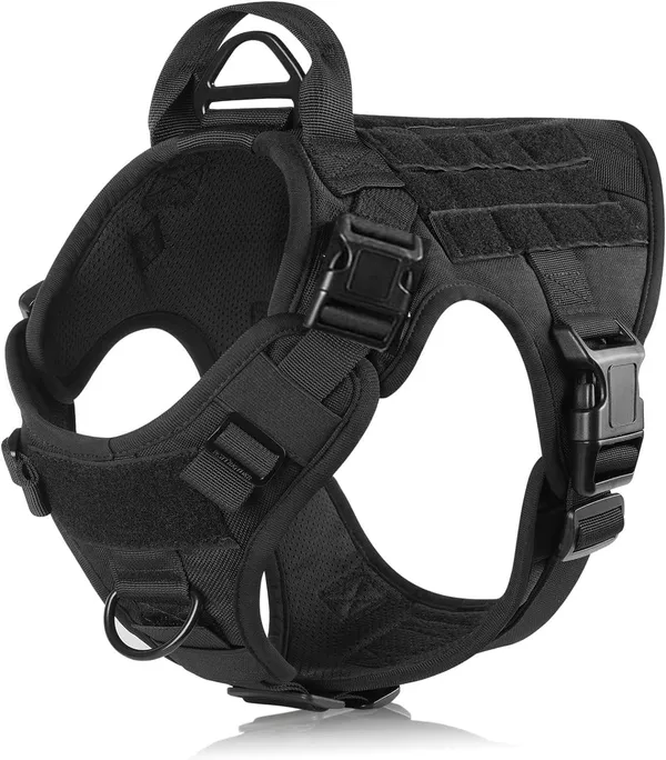 Customized_Pet_Name_Tactical_No_Pull_Dog_Harness_With_Rope_Leash