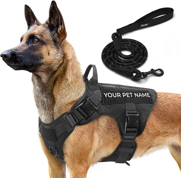Customized_Pet_Name_Tactical_No_Pull_Dog_Harness_With_Rope_Leash