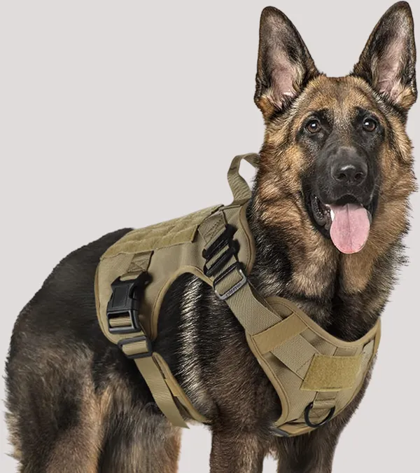 Khaki_Dog_Tactical_Harness_No-Pull_Pet_Dog_Harness_Adjustable_Outdoor_Pet_Vest_Military_Standard_Material_Vest_For_Dogs_Easy_Control_Dog_Belt_For_Dogs