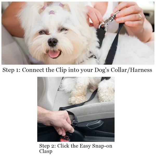 Black_Dog_Seat-Belt,_Adjustable_Nylon_Vehicle_Tether_For_Pets,_Cat_Car_Restraint_Lead_Pack_Of_2,