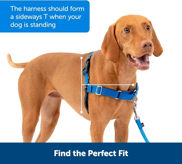 Black_Premium_No-Pull_Dog_Harness_With_Leash_|_Adjustable_Halter_Harness_|_Stop_Pulling_Instantly_|_Front-Leash_Attachment_For_Easy_Control_For_Dogs
