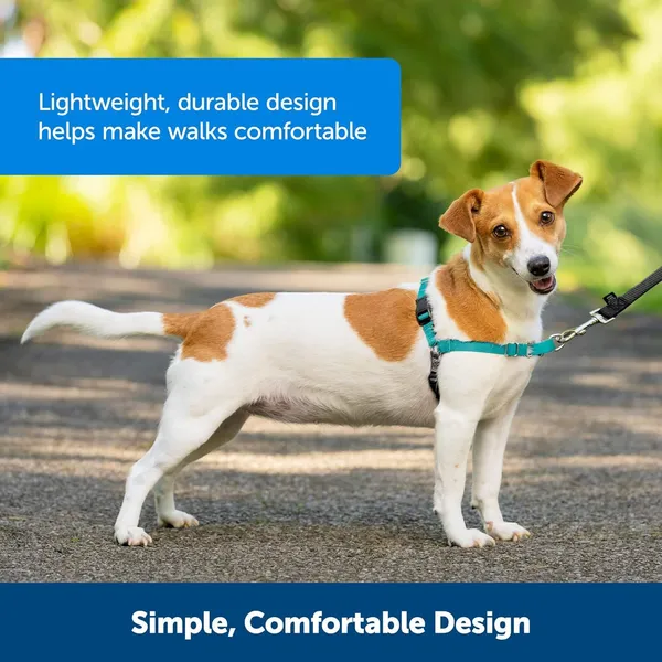 Black_Premium_No-Pull_Dog_Harness_With_Leash_|_Adjustable_Halter_Harness_|_Stop_Pulling_Instantly_|_Front-Leash_Attachment_For_Easy_Control_For_Dogs