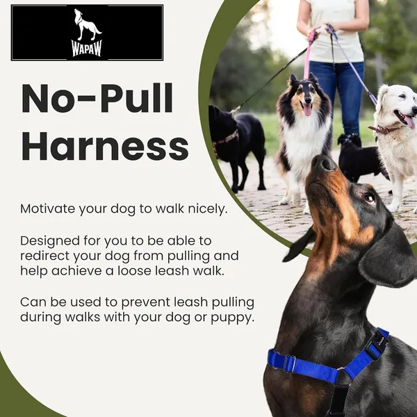 Blue_Premium_No-Pull_Dog_Harness_With_Leash_|_Adjustable,_Comfortable,_And_Durable_|_Stop_Pulling_Instantly_|_Front-Leash_Attachment_For_Easy_Control_For_Dogs