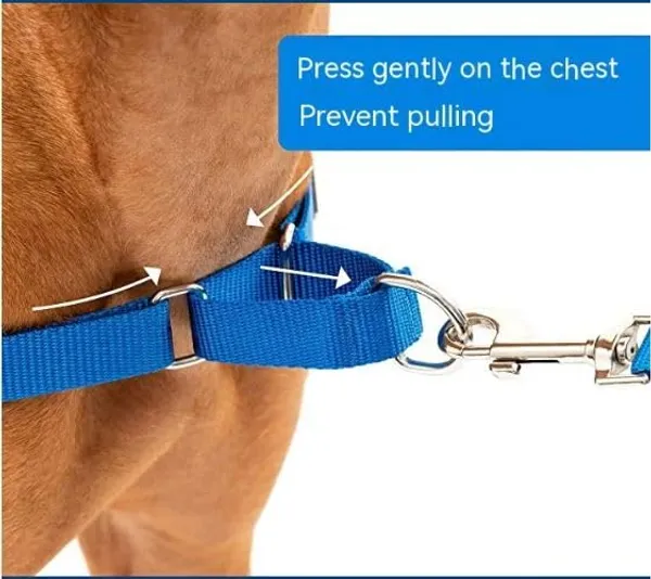 Blue_Premium_No-Pull_Dog_Harness_With_Leash_|_Adjustable,_Comfortable,_And_Durable_|_Stop_Pulling_Instantly_|_Front-Leash_Attachment_For_Easy_Control_For_Dogs