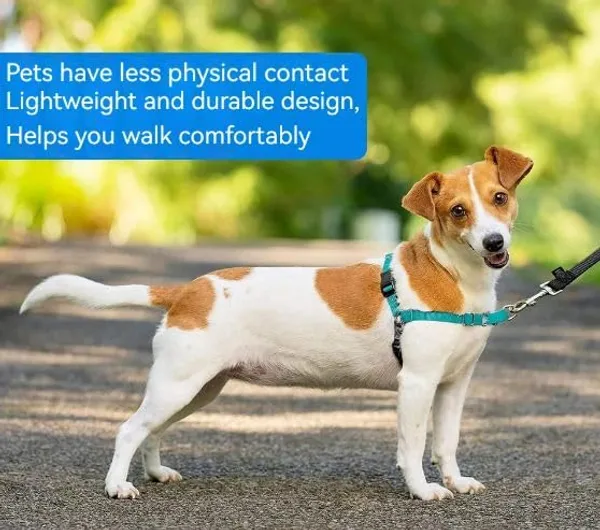 Blue_Premium_No-Pull_Dog_Harness_With_Leash_|_Adjustable,_Comfortable,_And_Durable_|_Stop_Pulling_Instantly_|_Front-Leash_Attachment_For_Easy_Control_For_Dogs