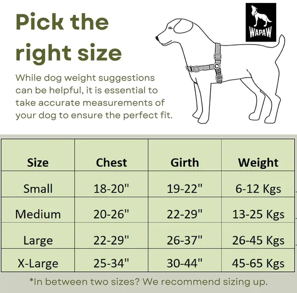 Blue_Premium_No-Pull_Dog_Harness_With_Leash_|_Adjustable_Halter_Harness_|_Stop_Pulling_Instantly_|_Front-Leash_Attachment_For_Easy_Control_For_Dogs