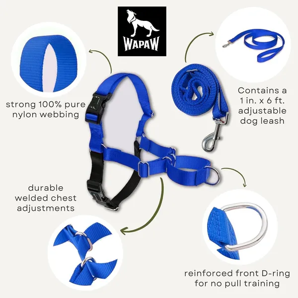 Blue_Premium_No-Pull_Dog_Harness_With_Leash_|_Adjustable,_Comfortable,_And_Durable_|_Stop_Pulling_Instantly_|_Front-Leash_Attachment_For_Easy_Control_For_Dogs