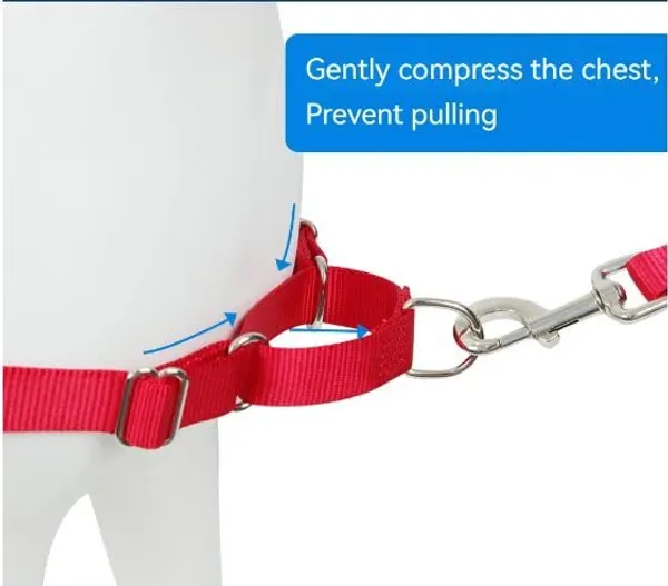 Green_Premium_No-Pull_Dog_Harness_With_Leash_|_Adjustable_Halter_Harness_|_Stop_Pulling_Instantly_|_Front-Leash_Attachment_For_Easy_Control_For_Dogs