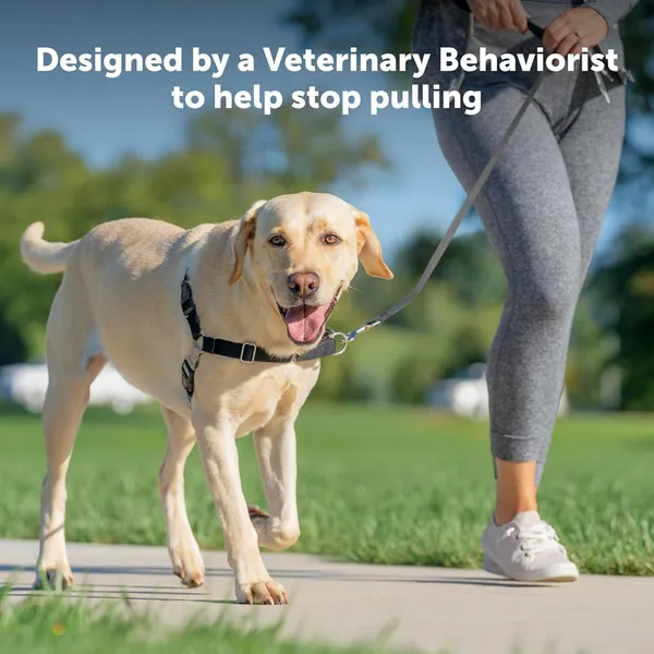 Green_Premium_No-Pull_Dog_Harness_With_Leash_|_Adjustable_Halter_Harness_|_Stop_Pulling_Instantly_|_Front-Leash_Attachment_For_Easy_Control_For_Dogs