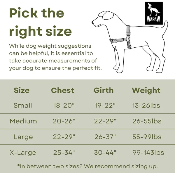 Green_Premium_No-Pull_Dog_Harness_With_Leash_|_Adjustable_Halter_Harness_|_Stop_Pulling_Instantly_|_Front-Leash_Attachment_For_Easy_Control_For_Dogs