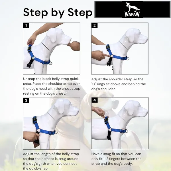 Green_Premium_No-Pull_Dog_Harness_With_Leash_|_Adjustable,_Comfortable,_And_Durable_|_Stop_Pulling_Instantly_|_Front-Leash_Attachment_For_Easy_Control_For_Dogs