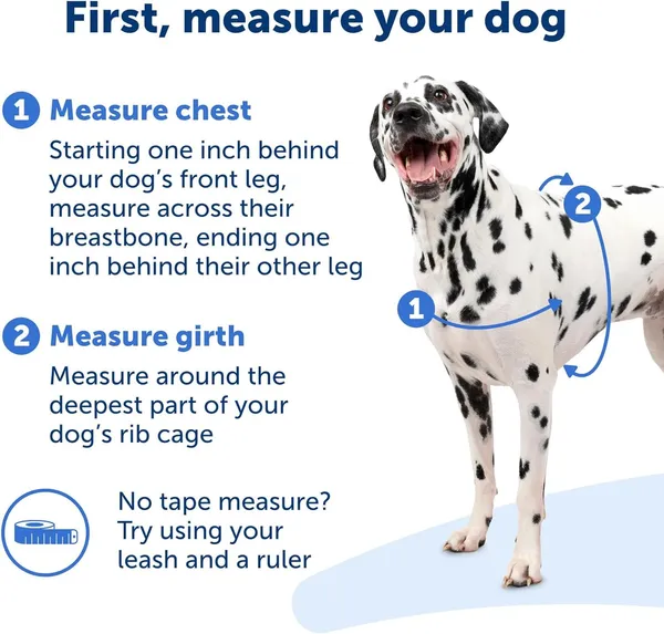 Green_Premium_No-Pull_Dog_Harness_With_Leash_|_Adjustable,_Comfortable,_And_Durable_|_Stop_Pulling_Instantly_|_Front-Leash_Attachment_For_Easy_Control_For_Dogs