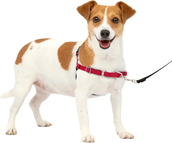 Red_Premium_No-Pull_Dog_Harness_With_Leash_|_Adjustable,_Comfortable,_And_Durable_|_Stop_Pulling_Instantly_|_Front-Leash_Attachment_For_Easy_Control_For_Dogs