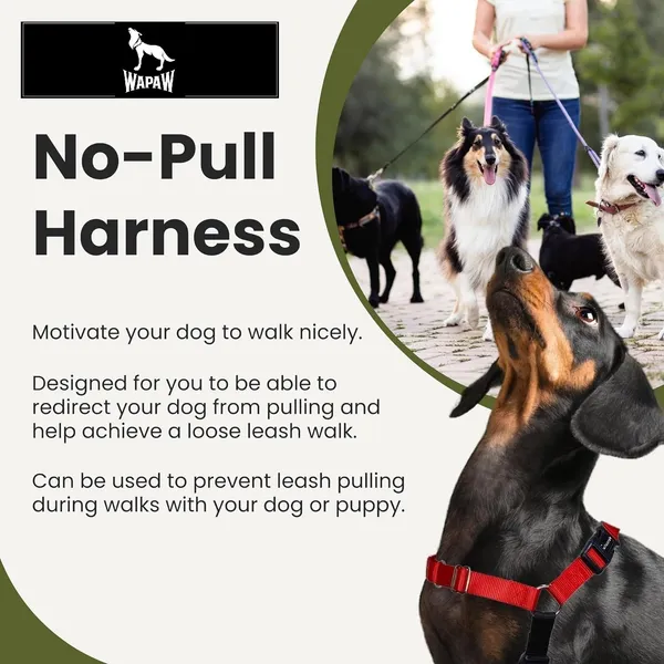 Red_Premium_No-Pull_Dog_Harness_With_Leash_|_Adjustable,_Comfortable,_And_Durable_|_Stop_Pulling_Instantly_|_Front-Leash_Attachment_For_Easy_Control_For_Dogs
