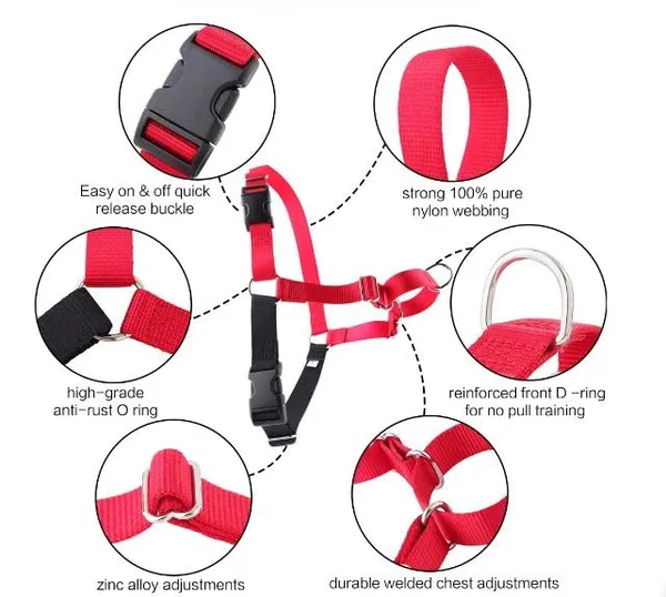 Red_Premium_No-Pull_Dog_Harness_With_Leash_|_Adjustable,_Comfortable,_And_Durable_|_Stop_Pulling_Instantly_|_Front-Leash_Attachment_For_Easy_Control_For_Dogs