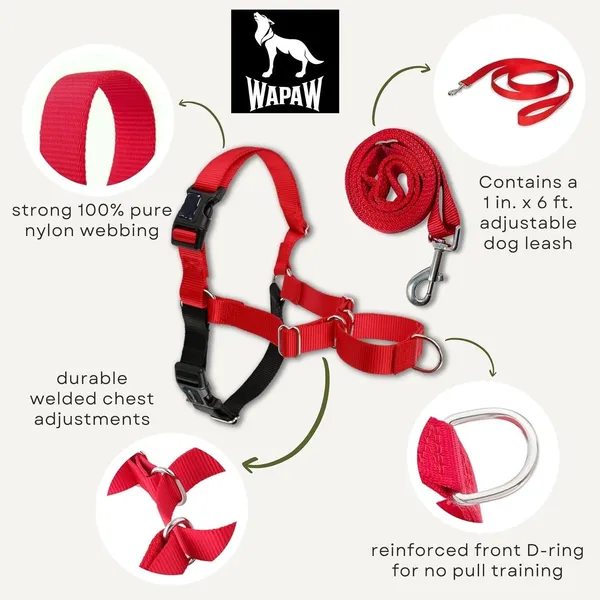 Red_Premium_No-Pull_Dog_Harness_With_Leash_|_Adjustable,_Comfortable,_And_Durable_|_Stop_Pulling_Instantly_|_Front-Leash_Attachment_For_Easy_Control_For_Dogs