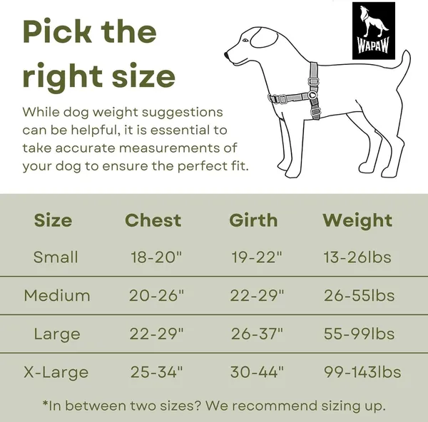 Red_Premium_No-Pull_Dog_Harness_With_Leash_|_Adjustable,_Comfortable,_And_Durable_|_Stop_Pulling_Instantly_|_Front-Leash_Attachment_For_Easy_Control_For_Dogs