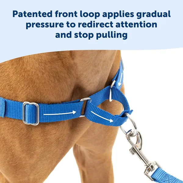 Red_Premium_No-Pull_Dog_Harness_With_Leash_|_Adjustable,_Comfortable,_And_Durable_|_Stop_Pulling_Instantly_|_Front-Leash_Attachment_For_Easy_Control_For_Dogs