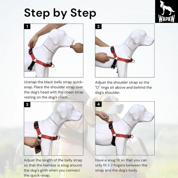 Red_Premium_No-Pull_Dog_Harness_With_Leash_|_Adjustable,_Comfortable,_And_Durable_|_Stop_Pulling_Instantly_|_Front-Leash_Attachment_For_Easy_Control_For_Dogs