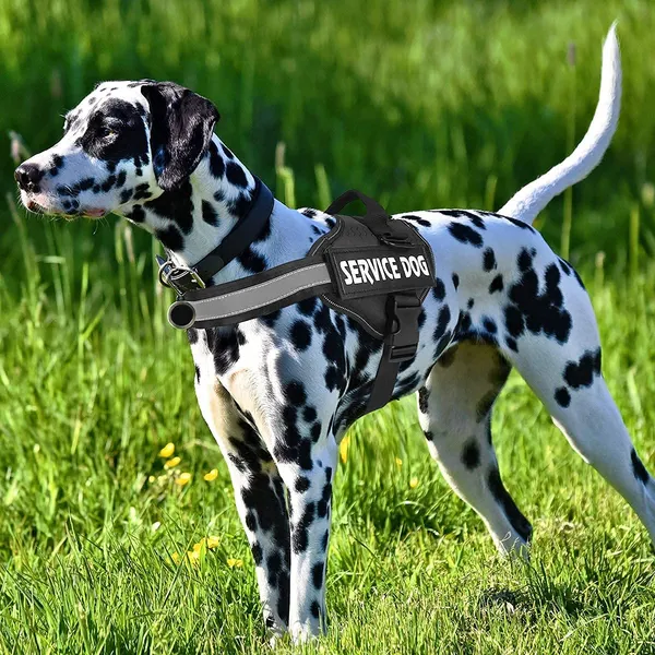 Black_Service_Dog_Harness_No_Pull_Easy_On_And_Off_Pet_Vest_Harness,_3M_Reflective_Breathable_&_Easy_Adjust_Pet_Harness_With_Nylon_Handle_-_No_More_Tugging_Or_Choking_For_Dogs