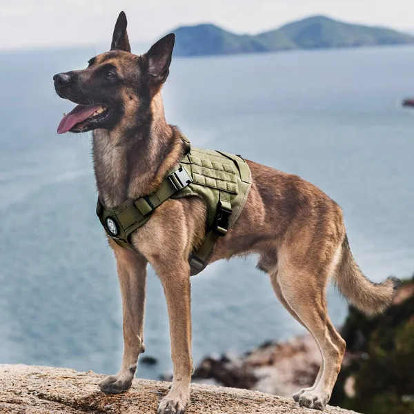 Khaki_Dog_Tactical_Harness_No-Pull_Pet_Dog_Harness_Adjustable_Outdoor_Pet_Vest_Military_Standard_Material_Vest_For_Dogs_Easy_Control_Dog_Belt_For_Dogs