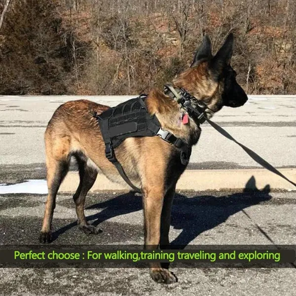 Black_Tactical_Dog_Leash,_Tactical_Bungee_Dog_Leash_Heavy_Duty,_No_Pull_Dog_Leash_For_Shock_Absorption,_Improved_Dog_Safety_And_Comfort_Training_Leash_For_Breed._95-145Cm