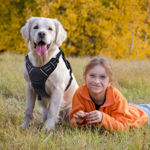 Black_Dog_Harness_No-Pull_Pet_Harness_Adjustable_Outdoor_Pet_Vest_3M_Reflective_Oxford_Material_Vest_For_Dogs_Easy_Control_For_Dogs