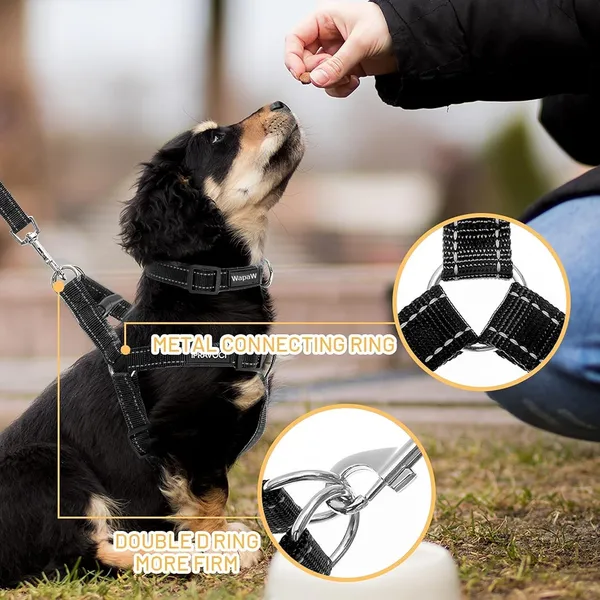 Black_No_Pull_Dog_Harness_|_Step_In_Reflective_Dog_Collar_Harness_And_Leash_Combo_For_Dogs_-_Collar_+_Leash_+_Harness