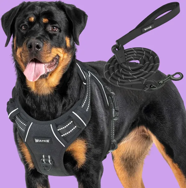 Dog_Harness_No-Pull_Pet_Harness_with_Rope__Adjustable_Outdoor_Pet_Vest_3M_Reflective_Oxford_Material_Vest_for_Dogs_Easy_Control_Dog_Collar_Belt