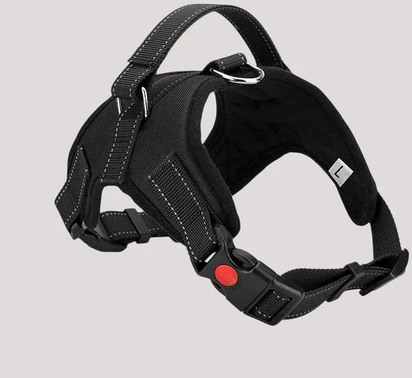 Black_Cats_Dog_Harness_No_Pull_With_Handle,_Reflective_Adjustable_Vest_Harness_For_Puppy_Dog_&_Cats