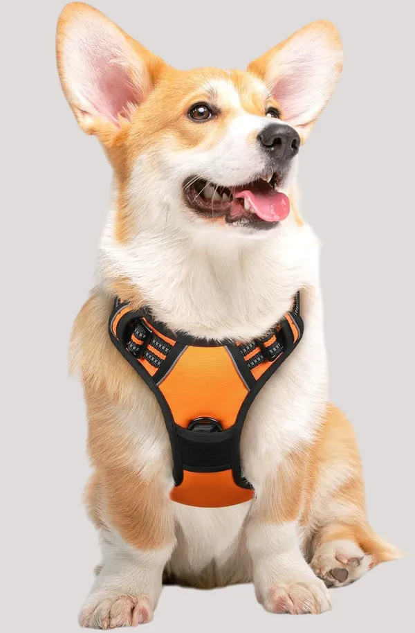 Orange_Dog_Harness_No-Pull_Pet_Harness_Adjustable_Outdoor_Pet_Vest_3M_Reflective_Oxford_Material_Vest_For_Dogs_Easy_Control_For_Dogs