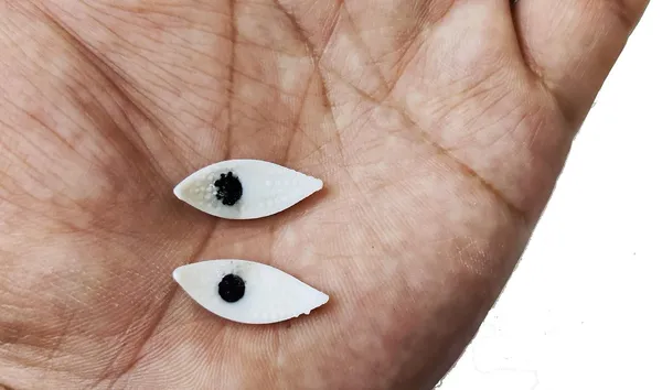 White_Plastic_Material_Bhagwan_Eyes_Netra__2_Piece_For_Big_Bhagwan_In_Mandir_(1_Pair_Only)