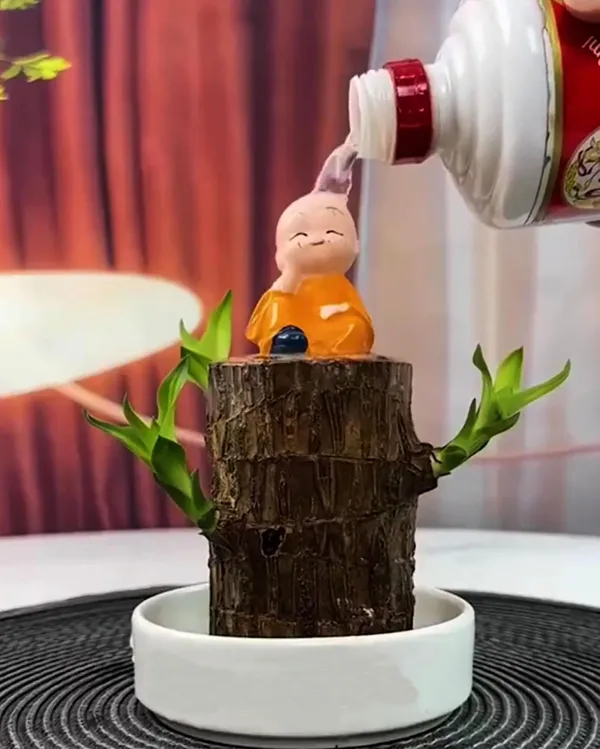 Wood_Lucky_Wood_Live_Plant_Lucky_Brazilwood_Potted_Plant_|_Healthy_Indoor_Live,Lucky_Brazilian_Wood_Plant_For_Living_Room_|_Feng_Shui_Plant_(Pack_Of_1_No_Other_Item)
