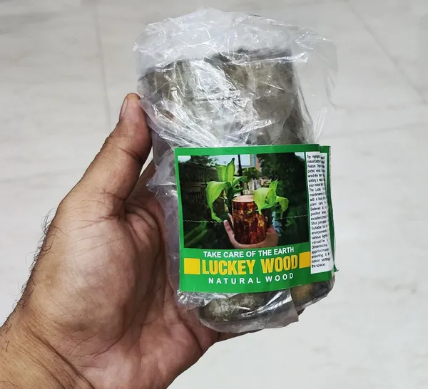 Wood_Lucky_Wood_Live_Plant_Lucky_Brazilwood_Potted_Plant_|_Healthy_Indoor_Live,Lucky_Brazilian_Wood_Plant_For_Living_Room_|_Feng_Shui_Plant_(Pack_Of_1_No_Other_Item)