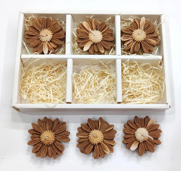 Set_of_6_Pc_Brown_Daisy_Floating_Full_Scented_Soy_Wax_Candles_For_Festive_Gifting_And_Home_Decoration