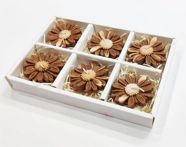 Set_of_6_Pc_Brown_Daisy_Floating_Full_Scented_Soy_Wax_Candles_For_Festive_Gifting_And_Home_Decoration