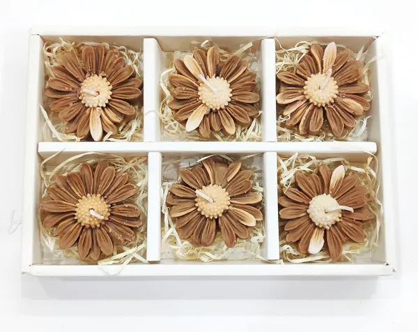 Set_of_6_Pc_Brown_Daisy_Floating_Full_Scented_Soy_Wax_Candles_For_Festive_Gifting_And_Home_Decoration