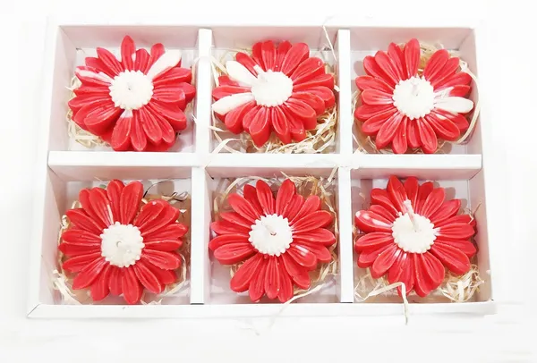 Set_of_6_Red_Daisy_Floating_Full_Scented_Soy_Wax_Candle_For_Festive_Gifting_And_Home_Decoration