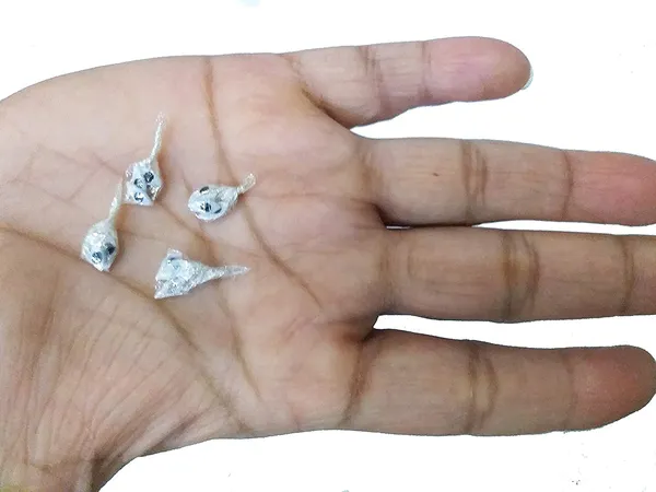 White_Laddu_Gopal_And_Another_Idol_Netra/Eyes/Nayan_Total_8_Pair_(16_Pieces)_For_Laddu_Gopal_Size-_(2)