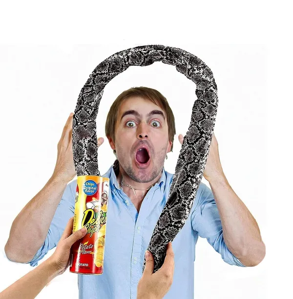 Multicolor_Plastic_Snake_Gags_And_Pranks_Box