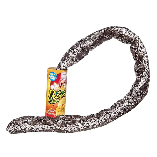 Multicolor_Plastic_Snake_Gags_And_Pranks_Box