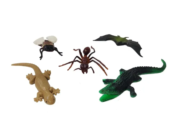 Multicolor_Mix_Mini_Insects_Crocodile,Lizard,_Bat,Bee,_Ant_-_Mini_Insects_Toys_Figure_Playing_Set_For_Kids_Make_Your_Story_For_Kids_(Pack_Of_5_Special_Figures)