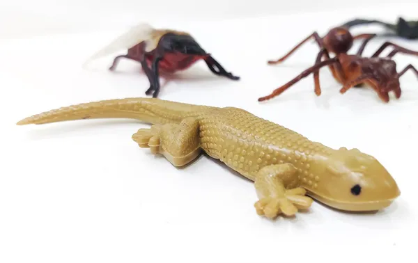 Multicolor_Mix_Mini_Insects_Crocodile,Lizard,_Bat,Bee,_Ant_-_Mini_Insects_Toys_Figure_Playing_Set_For_Kids_Make_Your_Story_For_Kids_(Pack_Of_5_Special_Figures)