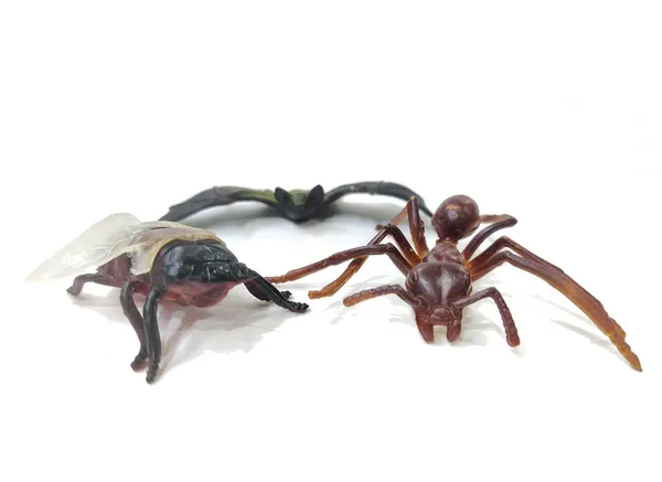 Multicolor_Mix_Mini_Insects_Crocodile,Lizard,_Bat,Bee,_Ant_-_Mini_Insects_Toys_Figure_Playing_Set_For_Kids_Make_Your_Story_For_Kids_(Pack_Of_5_Special_Figures)
