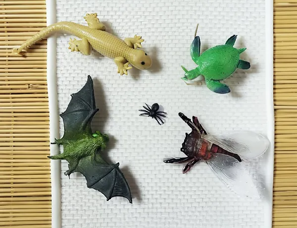 Multicolor_Mix_Insects_Lizard,_Bat,Bee,_Spider,_Tortoise_-_Mini_Insects_Toys_Figure_Playing_Set_For_Kids_Make_Your_Story_For_Kids_(Pack_Of_5_Figures)