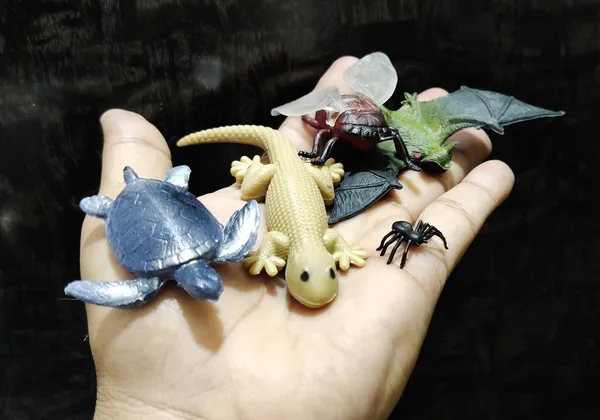 Multicolor_Mix_Insects_Lizard,_Bat,Bee,_Spider,_Tortoise_-_Mini_Insects_Toys_Figure_Playing_Set_For_Kids_Make_Your_Story_For_Kids_(Pack_Of_5_Figures)