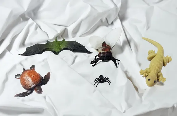 Multicolor_Mix_Insects_Lizard,_Bat,Bee,_Spider,_Tortoise_-_Mini_Insects_Toys_Figure_Playing_Set_For_Kids_Make_Your_Story_For_Kids_(Pack_Of_5_Figures)