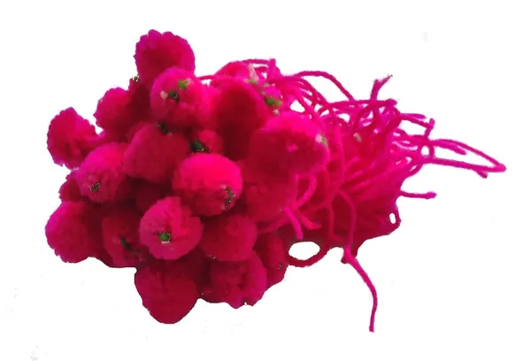 Multicolor_25_Piece_Pom_Pom_Raksha_Sutra_Marwadi_Rakhi_For_Family,_Puja_And_Laddu_Gopal_And_All_Bhagwan_In_Home_Mandir